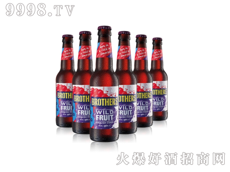 Ӣ(gu)ԭbM(jn)ֵƹζơ330ml-ơϢ
